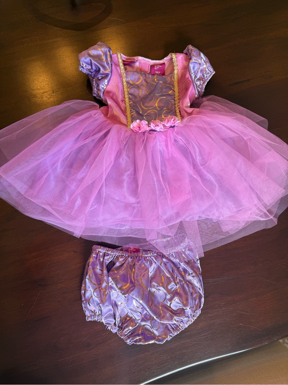 Disney Pink and Lavender Tulle Princess Dress Costume